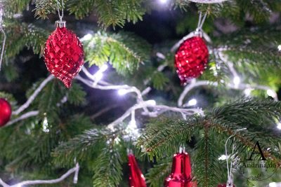 So bleibt dein Weihnachtsbaum wochenlang frisch
